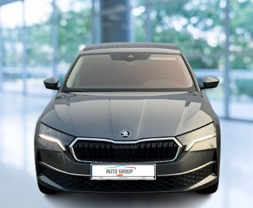 Skoda Octavia - Selection 1,5 TSI 110 kW 6&deg; MP