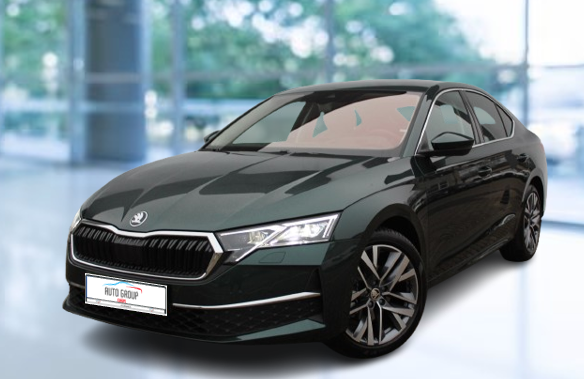 Skoda Octavia - Top Selection 2.0 TDI110kW DSG