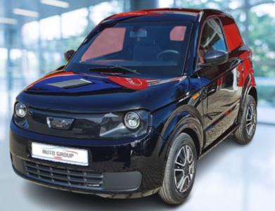 Ligier Myli - 0.5 GD 6kW