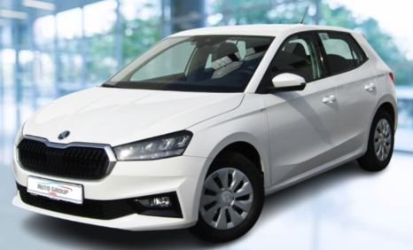 Skoda Fabia - 1.0 MPI 59 kW Selection