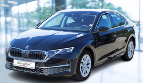 Skoda Octavia - 2.0 TDI 110kW Top Selection DSG