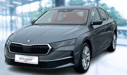 Skoda Octavia - 2.0 TDI 110 kW Top Selection DSG
