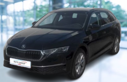 Skoda Octavia Combi - 2.0 TDI 110kW DSG