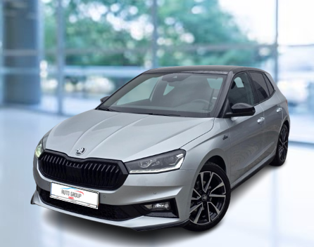Skoda Fabia - 1.5 TSi 110 kW Monte Carlo DSG