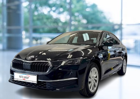 Skoda Octavia - 2.0 TDI 110kW Top Selection DSG