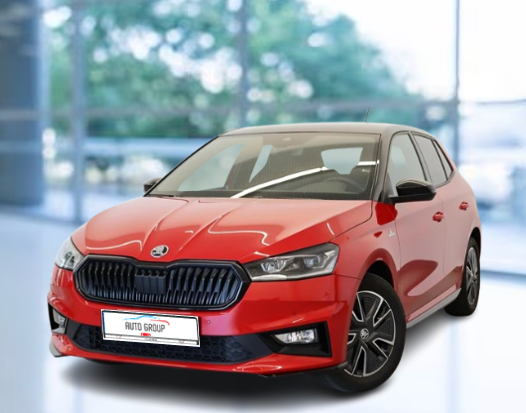Skoda Fabia - 1.0 TSI 81kW Monte Carlo DSG
