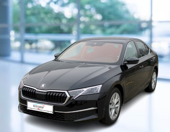 Skoda Octavia - 2.0 TDI 110kW Top Selection DSG