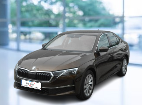 Skoda Octavia - IV 2.0 TDI 110kW Top Selection DSG