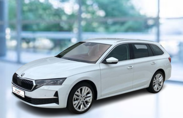 Skoda Octavia - 2.0 TDI 110kW Top Selection DSG