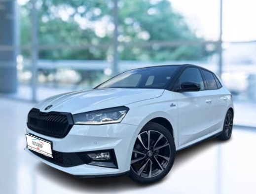 Skoda Fabia - 1.5 TSI 110kW Monte Carlo DSG