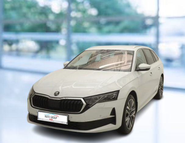 Skoda Octavia - 2.0 TDI 110kW Top Selection DSG