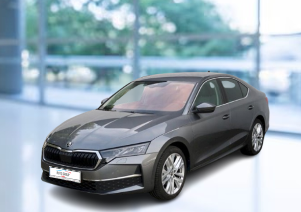 Skoda Octavia - 2.0 TDI 110kW Top Selection DSG