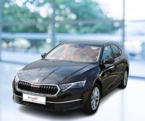 Skoda Octavia 2.0 TDI 110kW Top Selection DSG 