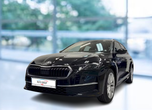 Skoda Octavia - 2.0 TDI 110kW Top Selection DSG