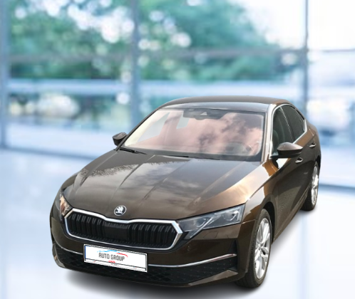 Skoda Octavia - 2.0 TDI 110kW Top Selection DSG