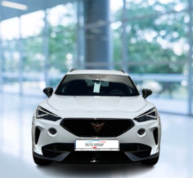 Cupra FORMENTOR - 1.5 TSI 110kW DSG