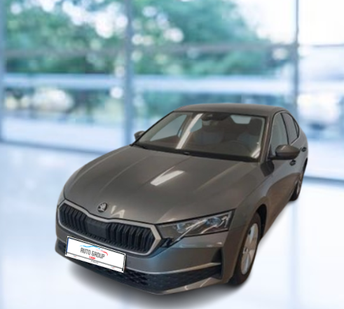 Skoda Octavia - 2.0 TDI 110kW Top Selection DSG