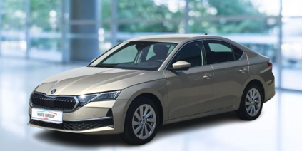 Skoda Octavia - 2.0 TDI 110kW Top Selection DSG