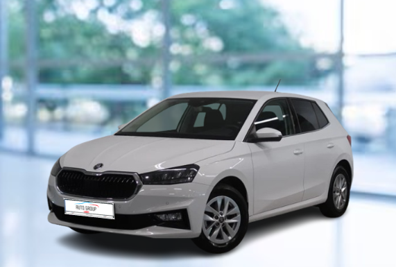 Skoda Fabia - 1.0 TSI 85KW Selection