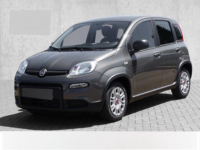 Fiat Panda - Hybrid Tech Paket, Radio, Klima, Multifunktion