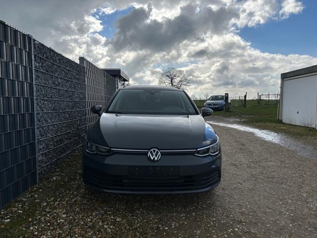Lagerfahrzeug Volkswagen Golf - 1.5 eTSI DSG Life App SHZ CAM 17" 4JG