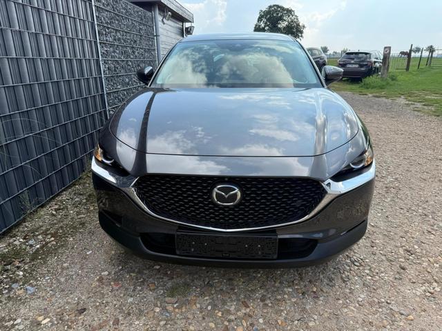 Mazda CX-30 2.0 48V ACC 360 Totwinkel Keyless SHZ 