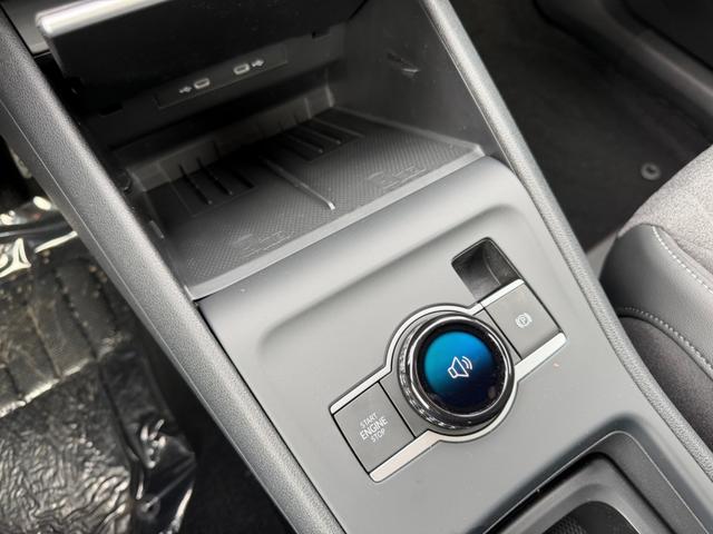 Volkswagen Tiguan 1.5 eTSI 48V DSG Limited Navi 360 Winter AHK 