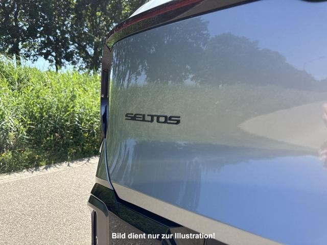 Kia Seltos 1.6 T-GDI Platin 