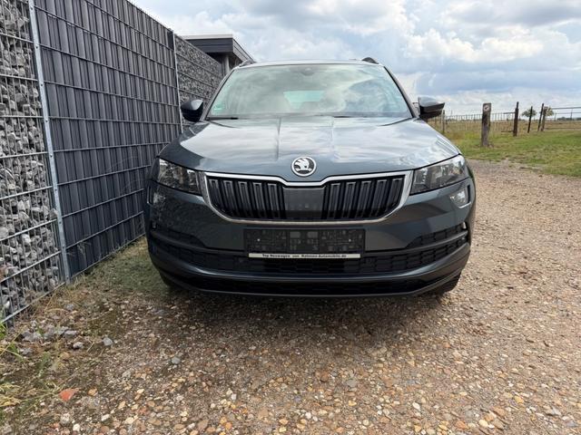 Skoda Karoq 1.0 TSI Style Navi APP SHZ 