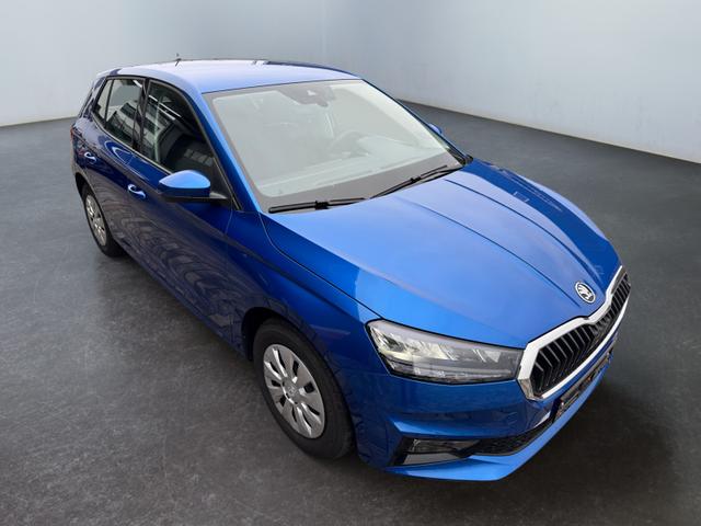Skoda Fabia 1.0 TSI Selec Klima NSW PDC LED DAB Temp SmLi SH 