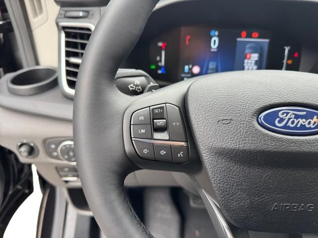 Ford Transit Trend 350 L3H2 AT 9 Si Temp AHK 2xKlima Kam PDC 5JG 
