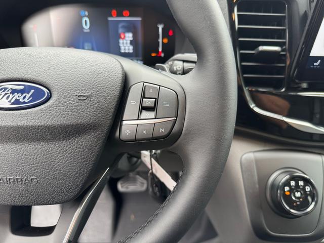 Ford Transit Trend 350 L3H2 AT 9 Si Temp AHK 2xKlima Kam PDC 5JG 