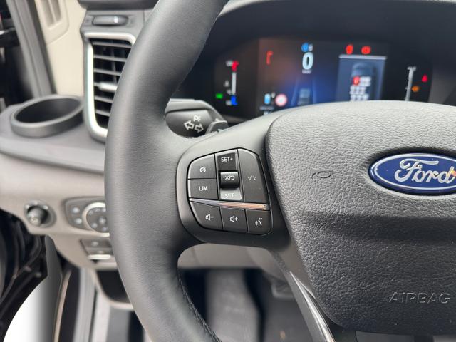 Ford Transit Trend 350 L3H2 AT 9 Si Temp AHK 2xKlima Kam PDC 5JG 