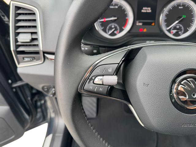 Skoda Karoq 2.0 TDI Scout 4x4 2ZKlima Navi Kam PDC SHZ 