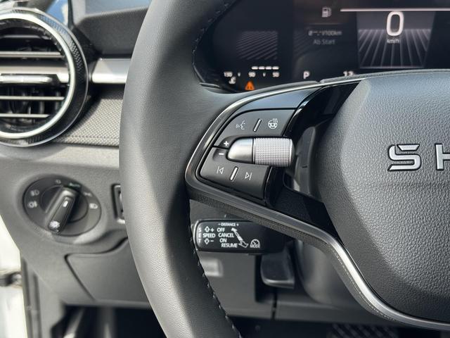 Neue Skoda Fabia weiss dsg