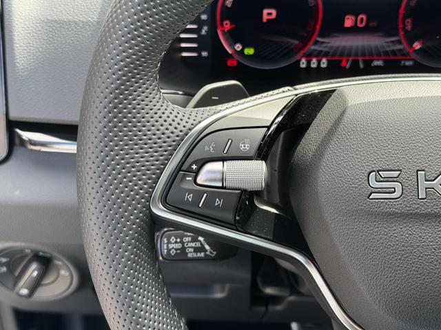 Skoda Karoq sportline silber kaufen