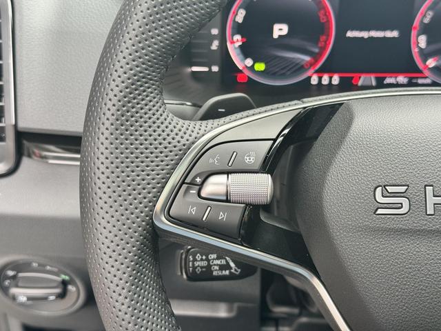 Skoda Karoq 2,0 TDI DSG Sportline 2ZKli AHK ACC SHT PDC Kam 19Zo 5JG 