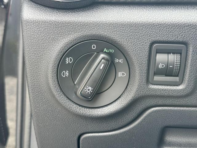 Skoda Fabia Monte Carlo kaufen