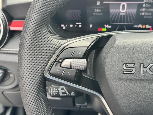 Skoda Fabia Monte Carlo kaufen