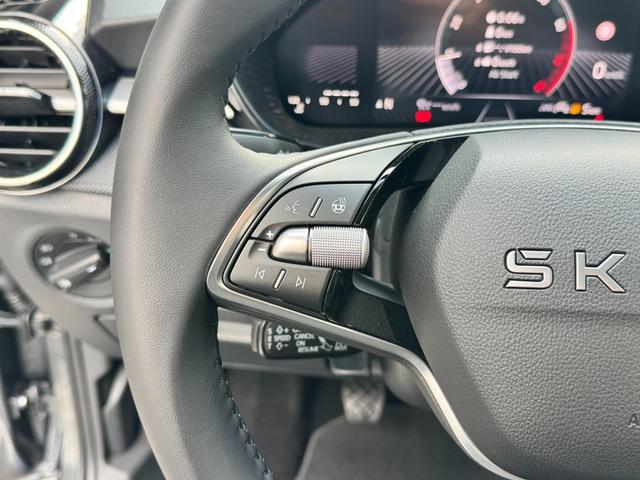Reimport Skoda Fabia Drive plus günstig kaufen