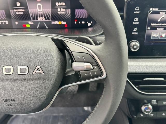 Reimport Skoda Kamiq günstig kaufen Multifunktionslenkrad bilder 