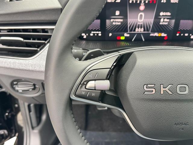 Reimport Skoda Kamiq günstig kaufen Multifunktionslenkrad bilder 