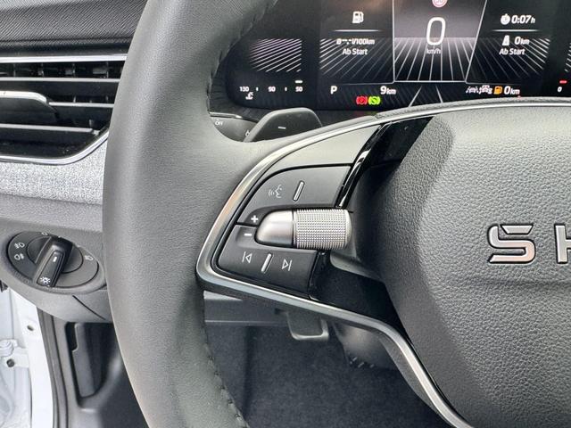EU-Neuwagen Skoda Kamiq günstig kaufen Lenkrad bilder