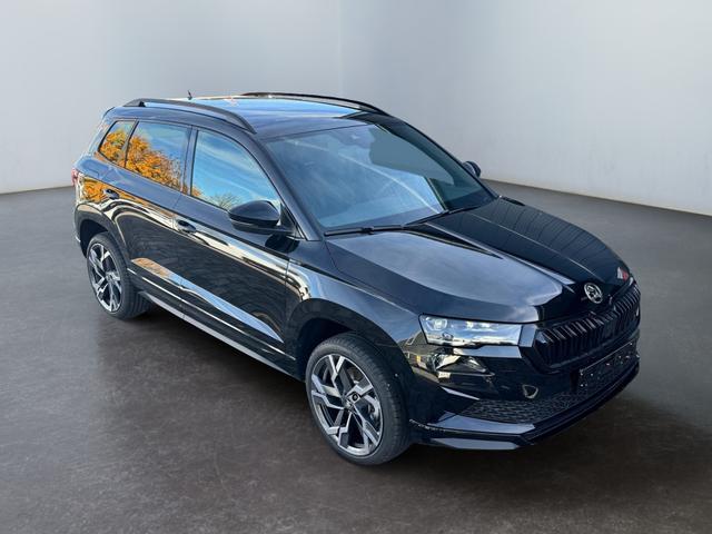 Reimport Skoda Karoq kaufen - Aussen Bilder