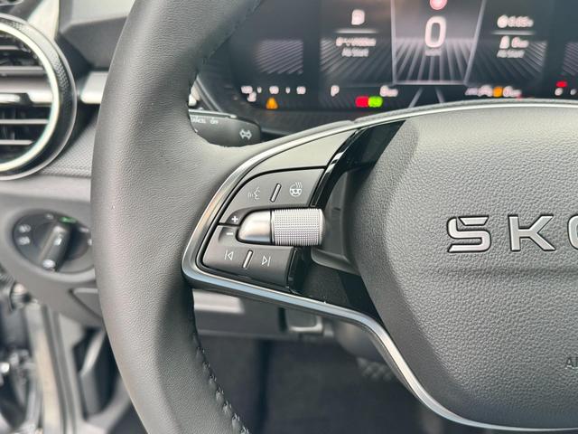 Reimport Skoda fabia automatik kaufen