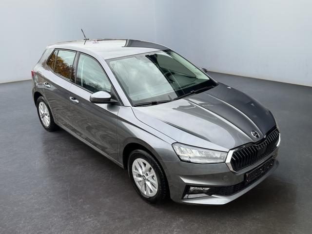 Reimport Skoda fabia automatik kaufen