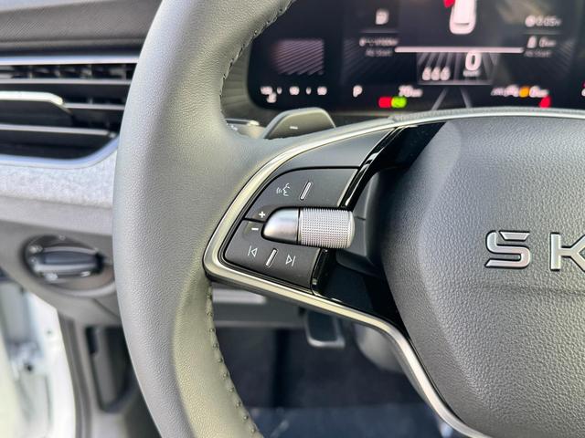 Skoda Kamiq 1,0 TSI Selection DSG AHK günstig kaufen