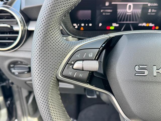 Skoda Fabia 1.0 TSI DSG günstig kaufen