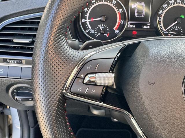 Gebrauchtwagen Skoda Fabia 1.0 TSI DSG Monte Carlo 