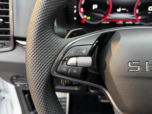 Skoda Karoq 1,5 TSI DSG Sportline Innenraum, ahk bilder